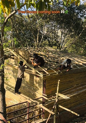 Wait till you see what we’re building in the jungle… 🌿🏡👀 A Tree House experience like never before — coming soon to Laliguras Jungle Resort. 📍 Mayatar, Chitwan 📞 9855080191 | 9865089775 Stay tuned… this is going to be special 😉 #comingsoon #treehouse #laligurasjungleresort #fyp #viral