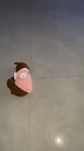 1.4K views · 23 reactions | Practice acrobatics for circus performances藍藍 #Dogs #CuteDogs #LoveDog #SmartDogs | Cats US | Facebook