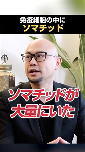 What are somatids present in immune cells?