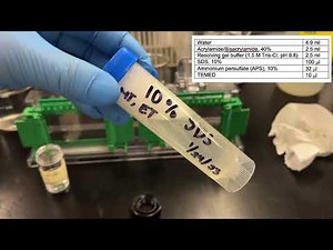 How to pour an SDS PAGE gel