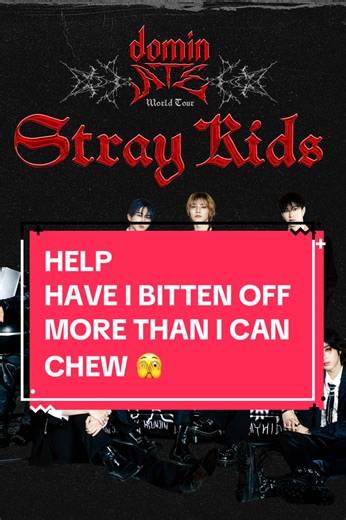 Please help me out Have any of you made your own clothes? Or know someone that has? I really want to give this a go. I don’t even know what this style skirt is called to search for a pattern #straykids #dominAte #icandothis #sewingtiktok #upcycledclothing