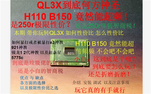 QL3X 终极小白教学 带你玩转魔改u 初学者终极救星 烧录器 bios XTU 超频 稳定测试 配置杂谈 如果还不会 那我也没辙
