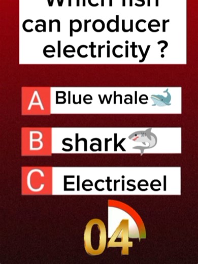 #quiz #quiztimer #fannyquiz #braintraswer #quizquestions