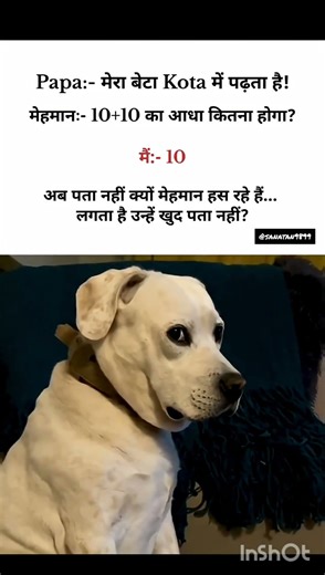 Papa #viral #memes #popular #kota #tweetreels #indian #papa