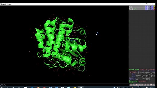 Autodock分子对接及pymol处理图像