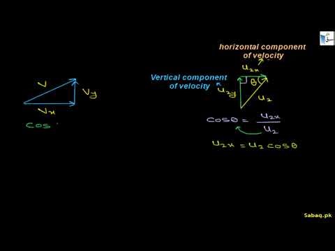 Momentum and Kinetic Energy in Perfectly Inelastic Collision in Two Dimension, Physics | Sabaq.pk