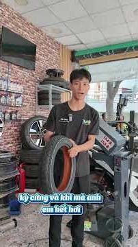 Vì sao lòng vỏ Chengshin có màu cam? Để Phát giải đáp cho anh em nha! | TMQ Service