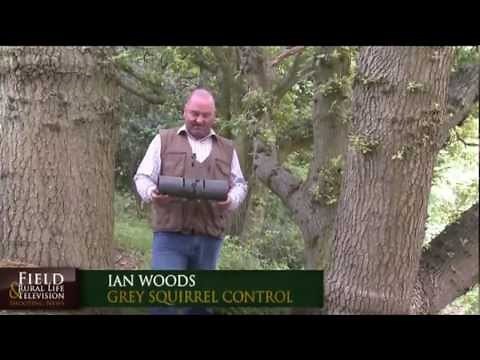 Practical Squirrel Trapping - www.greysquirrelcontrol.co.uk