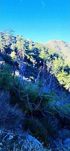 Isaiah 52:7 How beautiful on the mountains are the feet of those who bring good news.