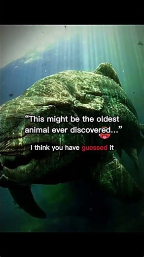 Oldest Animal ☠️