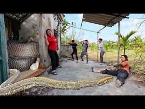 Brave Experts Face Giant Anaconda in Abandoned House