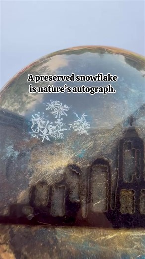 There is a softness inside every snowflake that feels impossible to describe. It shines in tiny branches and delicate lines, shaped by moments most of us never witness. When preserved, that moment becomes a piece of tiny art that asks you to slow down. To see beauty in gentleness. To find meaning in the things you once rushed past. Jewelry made from a preserved snowflake becomes a reminder that even fragile beginnings can carry incredible depth. #preservedsnowflake #snowflake #naturejewelry #res