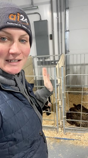 Never trust fake Spring. | Megan DairyGirl