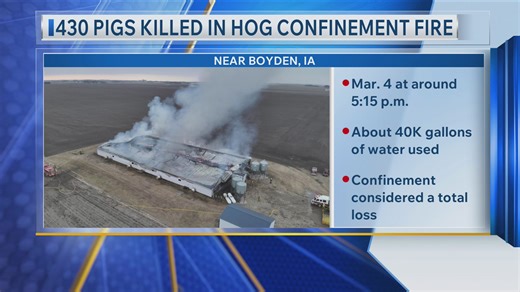 More than 400 pigs dead in Boyden hog confinement fire