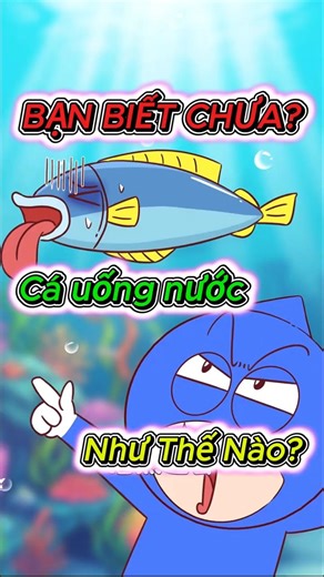 Fact 39: CÁ UỐNG NƯỚC THẾ NÀO? #taisao #bancobiet #funfacts
