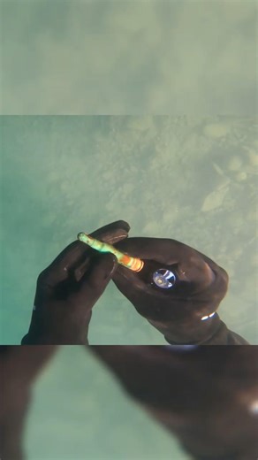 Underwater treasure hunting in Switzerland 🇨🇭🥽