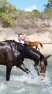 5.2K views · 100 reactions | Its always more fun with Mozambique Horse Safari プ  | Mozambique Horse Safari | Facebook