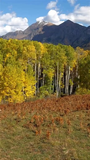 Wherever this month takes you—fly there in style. Known for our fast-shipping and ready-to-apply placards. screamingaero.com￼ | code 1ST20 for 20% off your first order. | Screaming Aero | Facebook