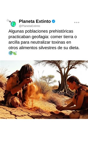 ¡Algunas poblaciones antiguas comían arcilla y tierra para neutralizar toxinas! 🌍🍃 #vidaprehistórica