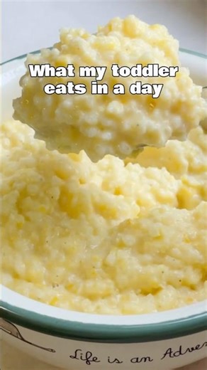 100+ easy meals for babies & toddlers (6 months+) family-friendly. Link in bio.