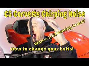 C5 Corvette Chirping Noise. Changing belts and other issues that may cause the problem!