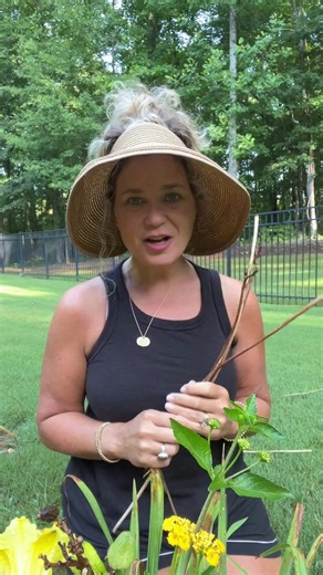 Scaling globally shouldn't be a constant battle with infrastructure. Rockads offers a seamless control layer that masters the operational intelligence of advertising. Build a sustainable future for your brand with a structure designed for high-stakes growth. | Rockads