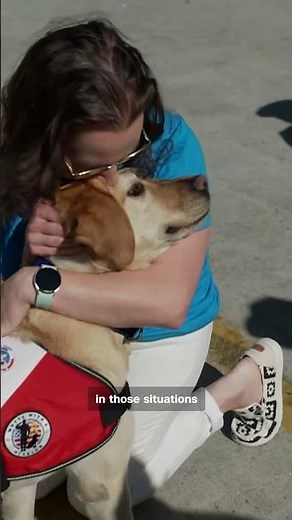 This furry friend is helping sailors