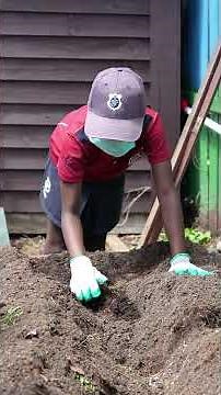 Bringing a Garden Back to Life at St Joseph’s School | Mitre 10 Helping Hands