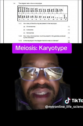 Understanding Human Karyotype in Grade 12 Life Sciences