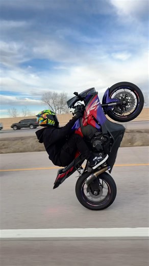 2017 CBR1000RR WHEELIE
