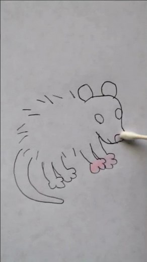 How to Draw A Cute Opossum #shorts