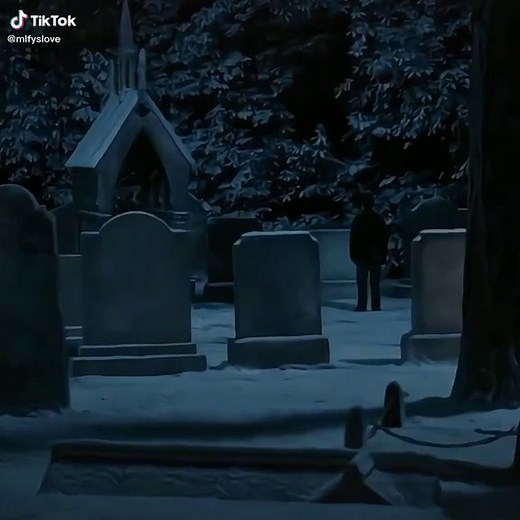 Harry Potter and Hermione Kiss Scene Compilation