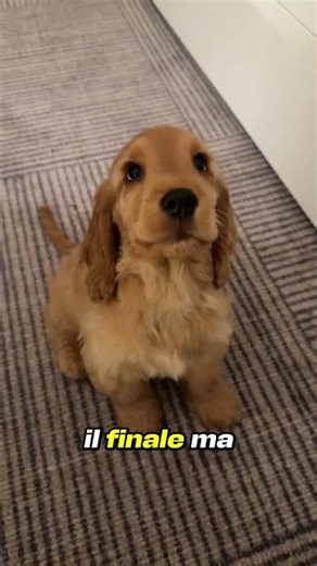 HOW MOSQUITO BITES WORK, EXPLAINED (Credits: @zackdfilms)