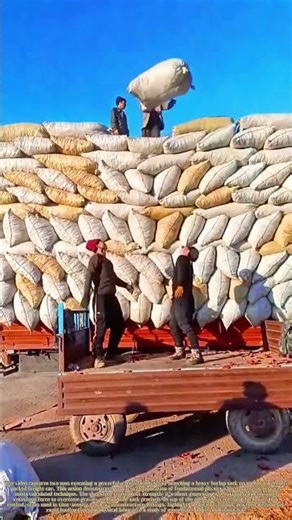 Throwing the Rulebook: The Physics of Loading a Freight Car