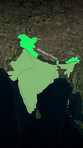 15K views · 221 reactions | Forest Types in India ………………….. #fbreels | The Geo Explorer | Facebook