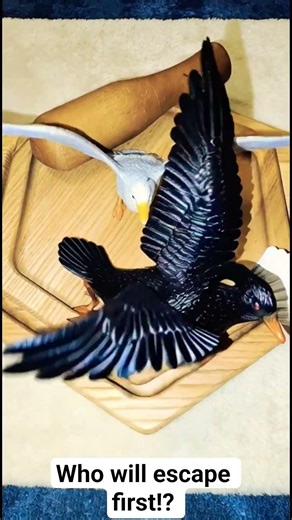 The swan & snow eagle AI Evolution 🦅🕊️