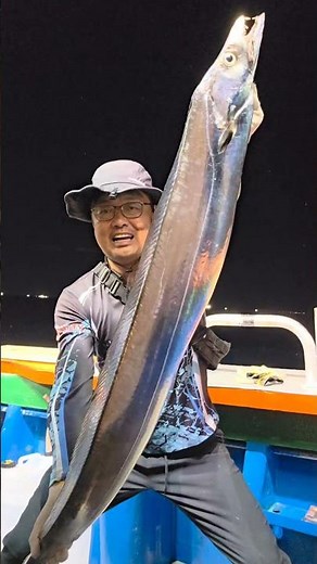 1시간만에 10지 두마리 #낚시 #갈치낚시 #fishing #釣り