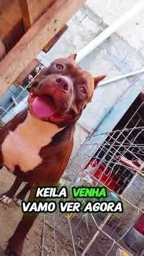 OLHA QUEM TOMA CONTA , SÃO 4 ANJOS DE DEUS 😀👏