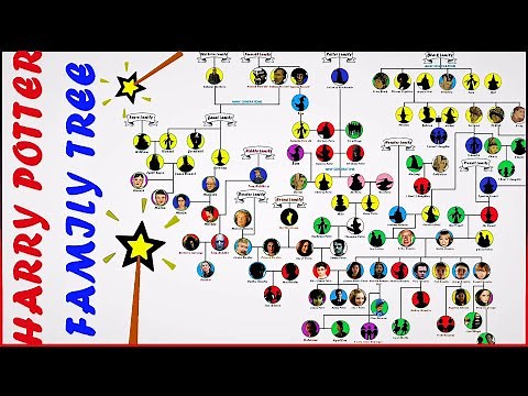 The Complete Harry Potter Family Tree Explained!