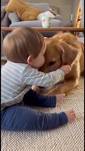 Kleinkind und Hund Führen ein Bell-Gespräch 😂🐶 | Das Süßeste Überhaupt Gefilmt mit einem Smartphone in einem gemütlichen Wohnzimmer — ein Kleinkind und sein Golden Retriever teilen den süßesten Moment aller Zeiten! 💛 Der Hund bellt leise und bittet um einen Keks, und das Kind bellt zurück wie ein kleiner Welpe 😭🐾 Am Ende teilen sie sich die Leckerei und umarmen sich — pure Freude, Lachen und Liebe auf Kamera festgehalten. #Hund #Baby #FamilienMomente #LustigesVideo #Viral #fblifestyle #AI .