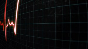 Download Heart beat frequency monitor close-up. ECG or EKG pulse rate, heartbeat line or heart rhythm, seamless loop for free