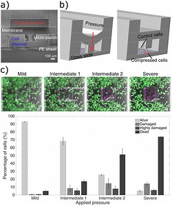 Mechanical cell compression - a short review