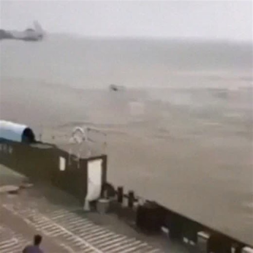 Alien Related on Instagram: "‘River Monster’ Filmed in China just below the murky surface of the Yangtze River...🧐"