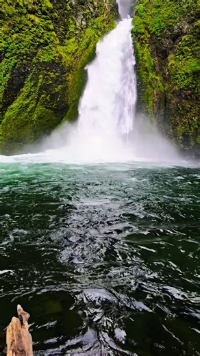 Walking over logs to get close to Wachula Falls in Oregon. One of my favorites!