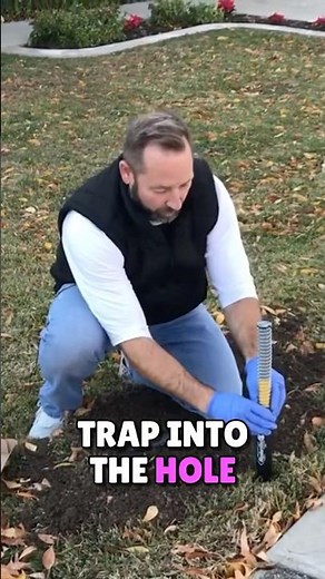 Kill Gophers WITHOUT Poison 🐿️ (The Gopherhawk Trap)