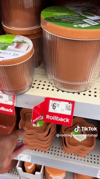 Discover Cute Inexpensive Plant Pots at Walmart