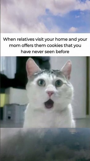 Real Infinity🤣 #memes #trending #viral #fyp