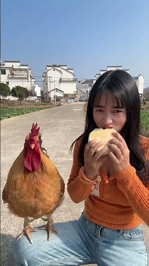 The big cock also wants to eat steamed buns