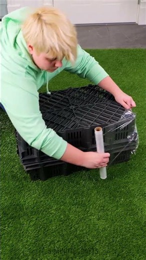 DIY Mini Greenhouse You Can Make at Home! 🌱 #greenhouse #gardening #plantcare