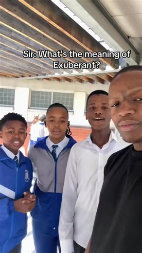 1.2K views · 112 reactions | What’s the meaning of the word exuberant: | Iamprofessor Oxford | Facebook